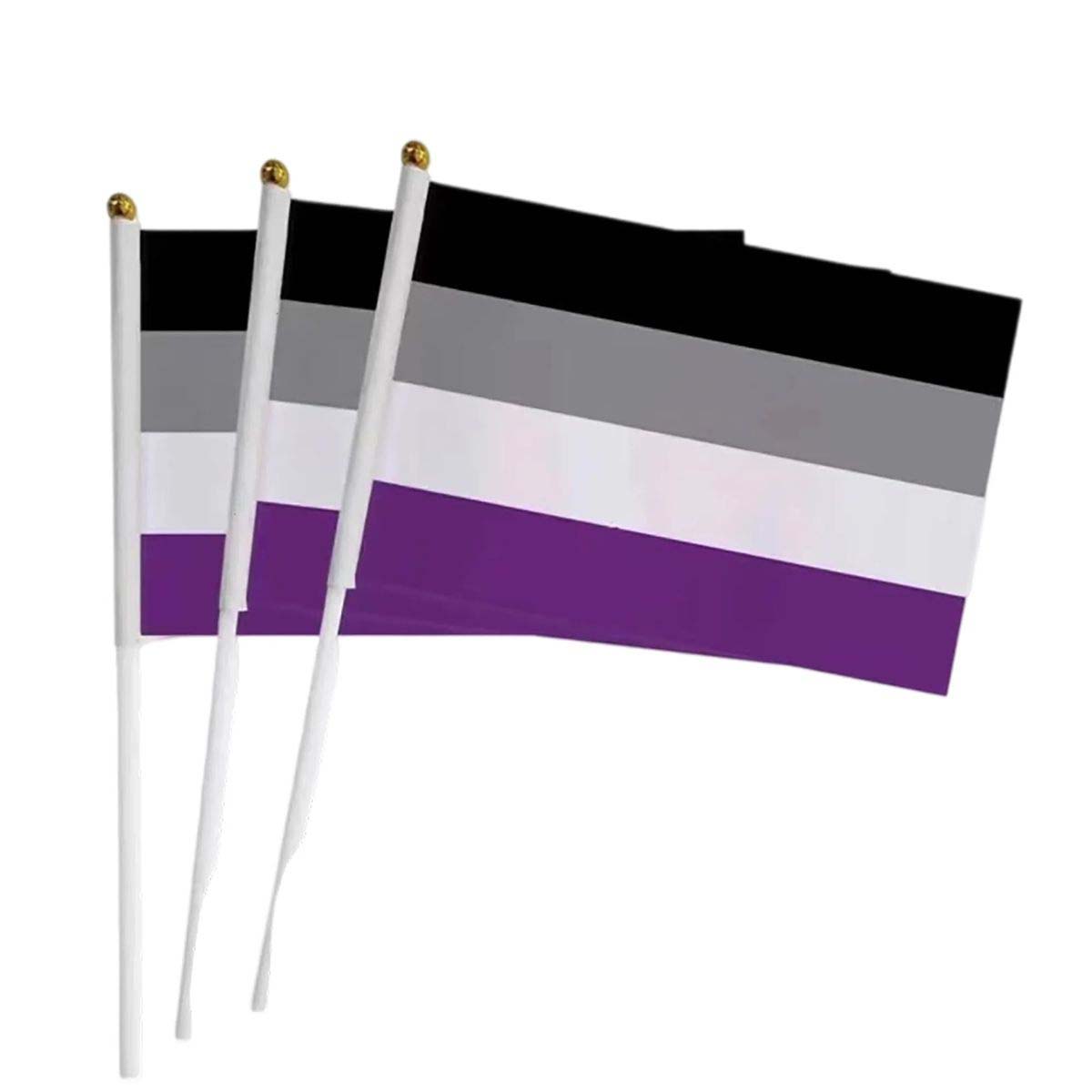 Mini Progress Pride Rainbow Flag for Celebrations 16