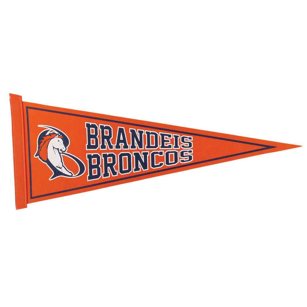 9" x 24" Colored Felt Pennant 10