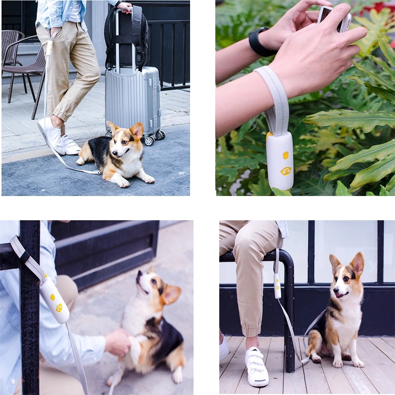 Automotic Dog Pulling Leash 3