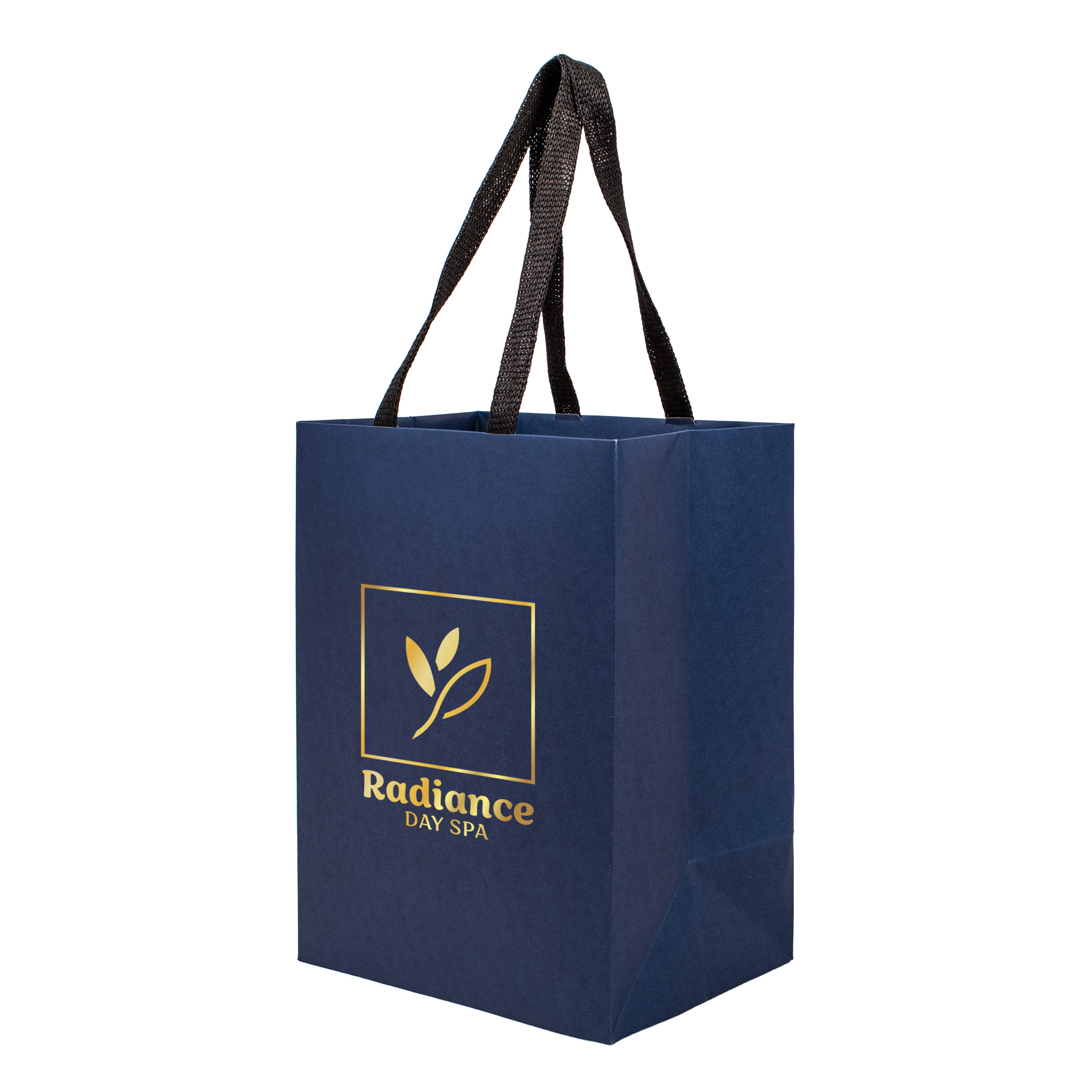 Sugarcane Paper Bag with Embedded Web Style Paper Handles - 10