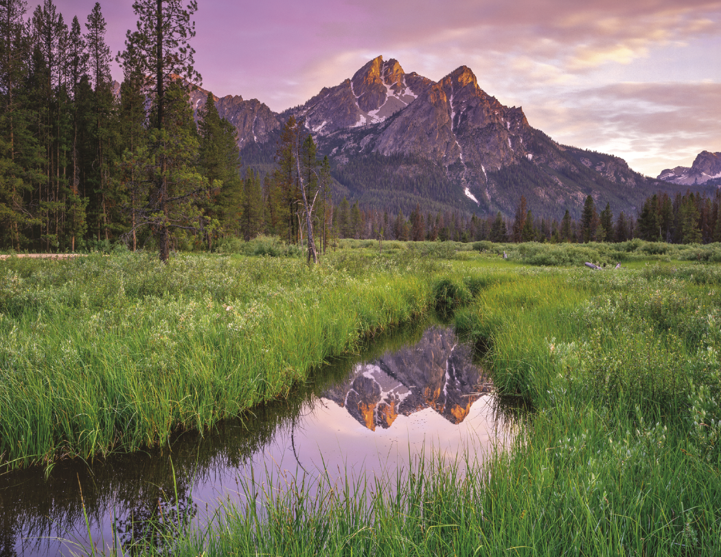 HotLine® Products Catholic Reflections Appointment Calendar - Stapled 49