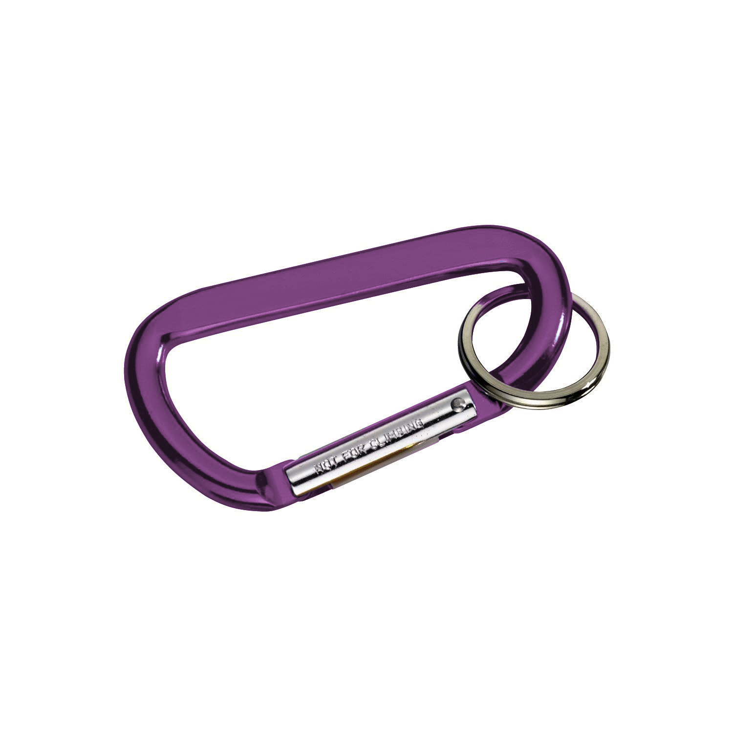 Carabiner with Ring 20