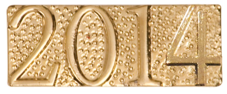 2014 Metal Chenille Letter Insignia Pin 2