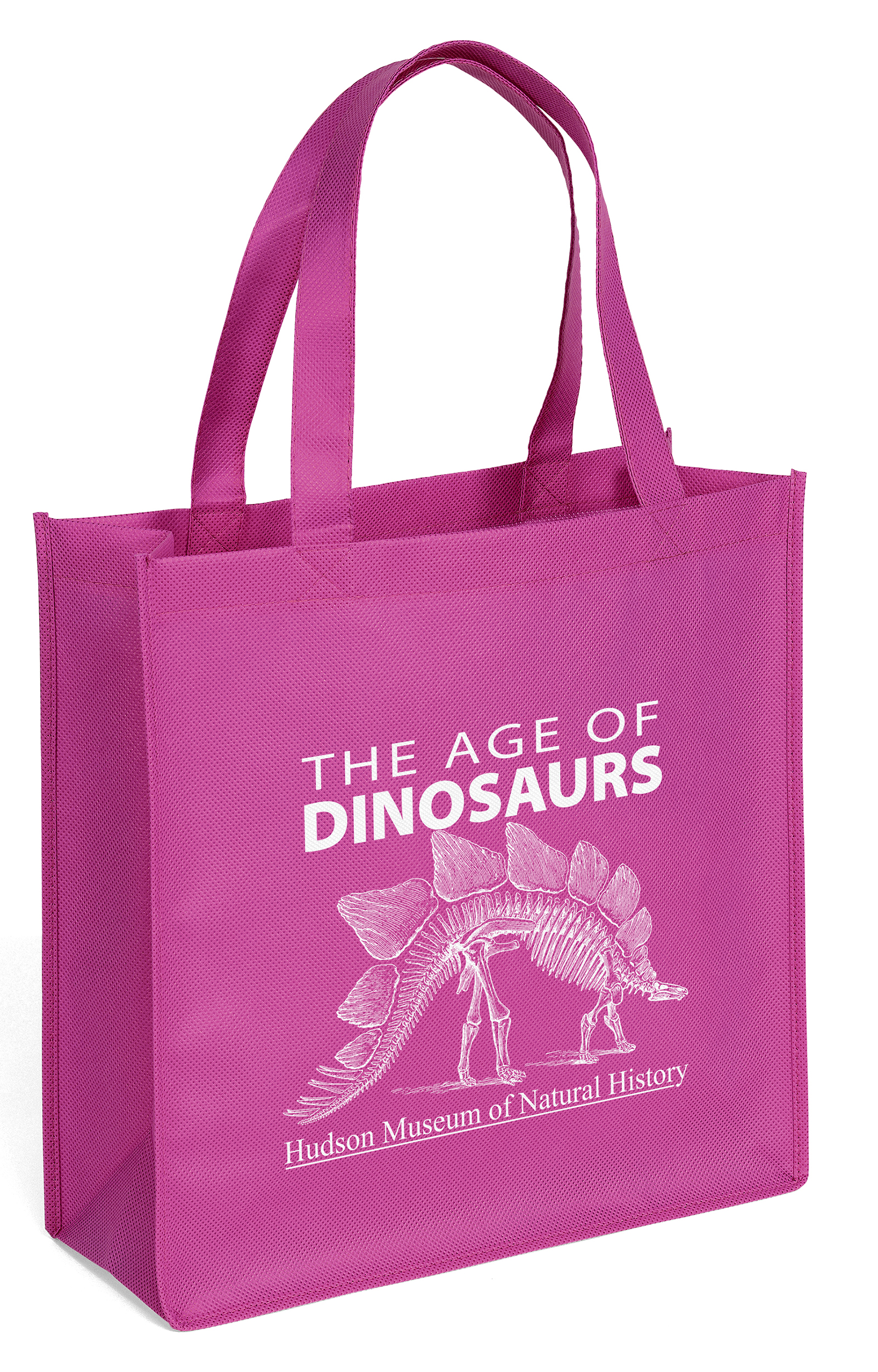 Abe - Celebration Tote - Screen Print 2