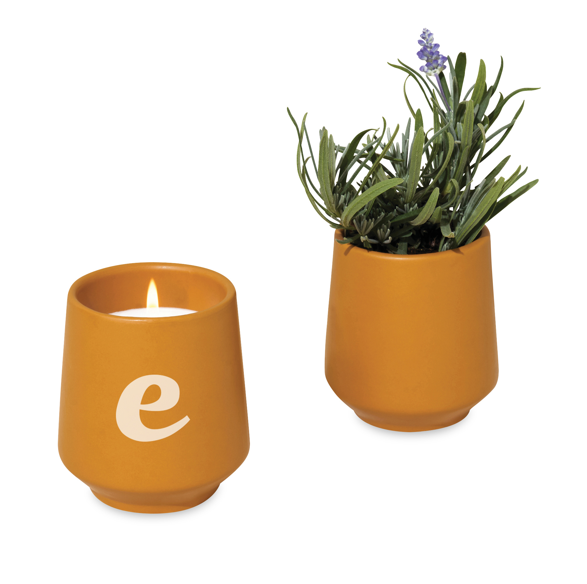 Modern Sprout® Rooted Candle 42