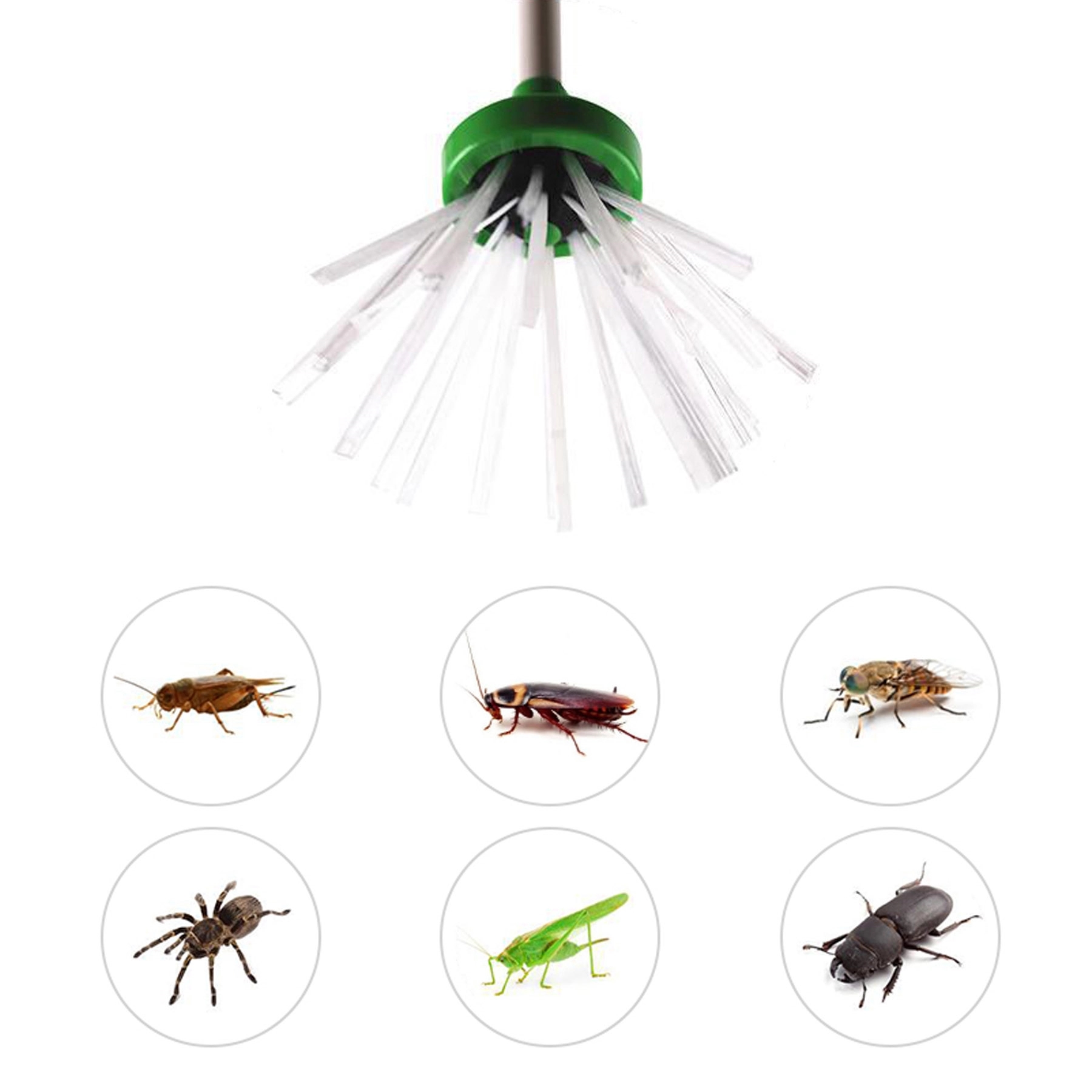 Plastic Easy Catch Spider Critter Insect Catcher 2