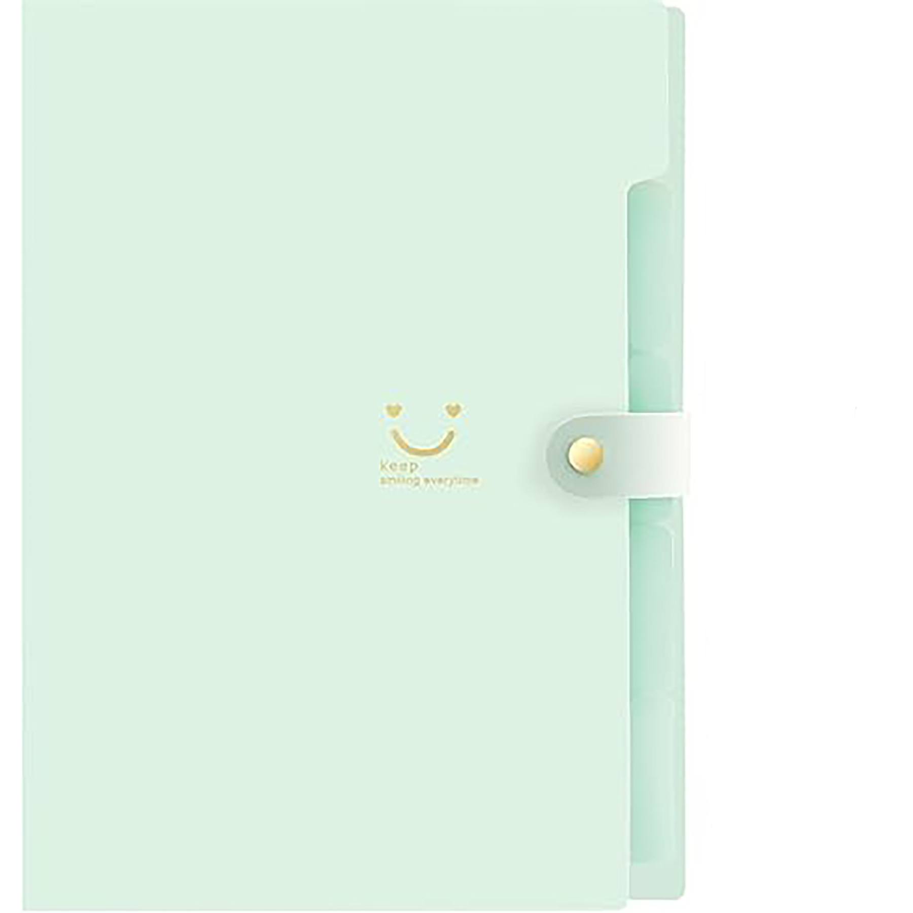File Organizer with Labels 2