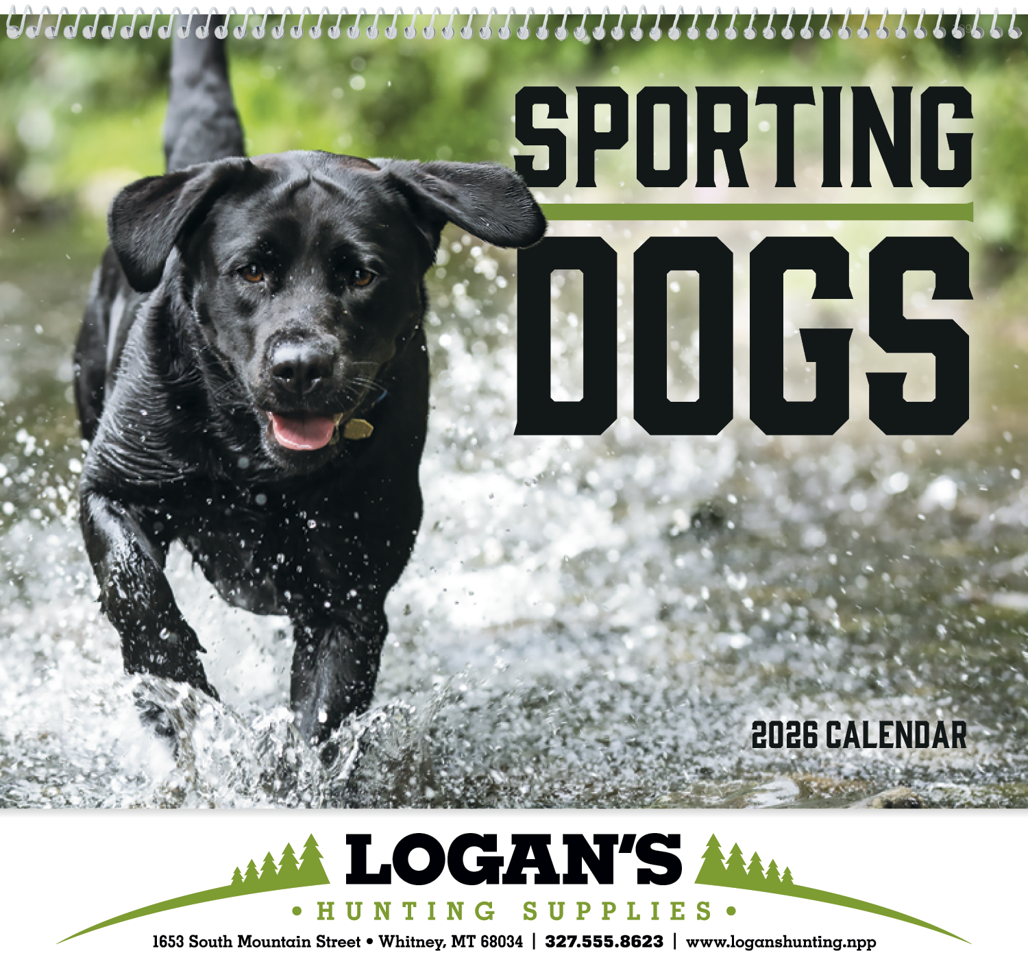 Good Value™ Sporting Dogs - Spiral Calendar 1