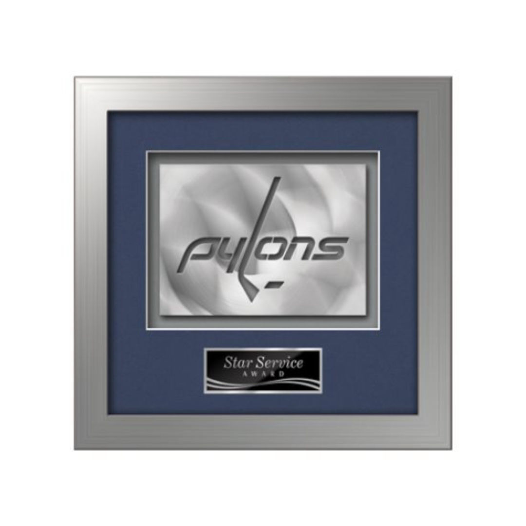 Eldridge Aquashape™ Award - Silver 12