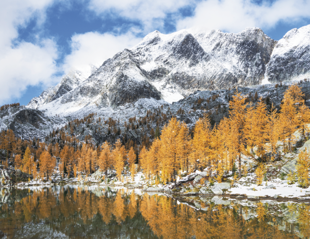 Good Value™ Scenic Canada - Window Calendar 45
