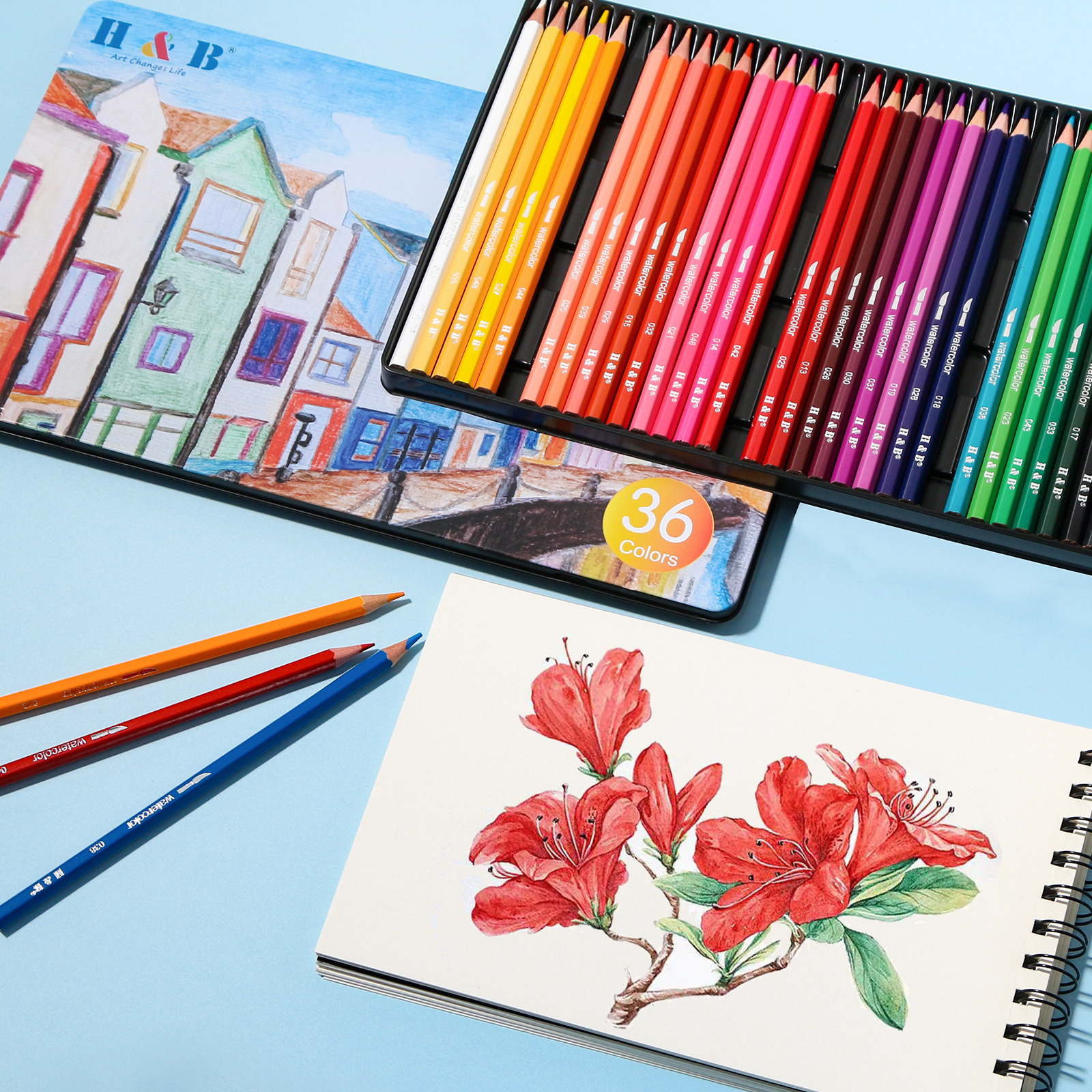 Colored Pencil 4