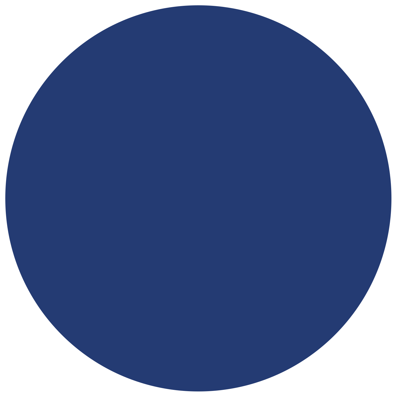 Plastic Golf Ball Markers 11