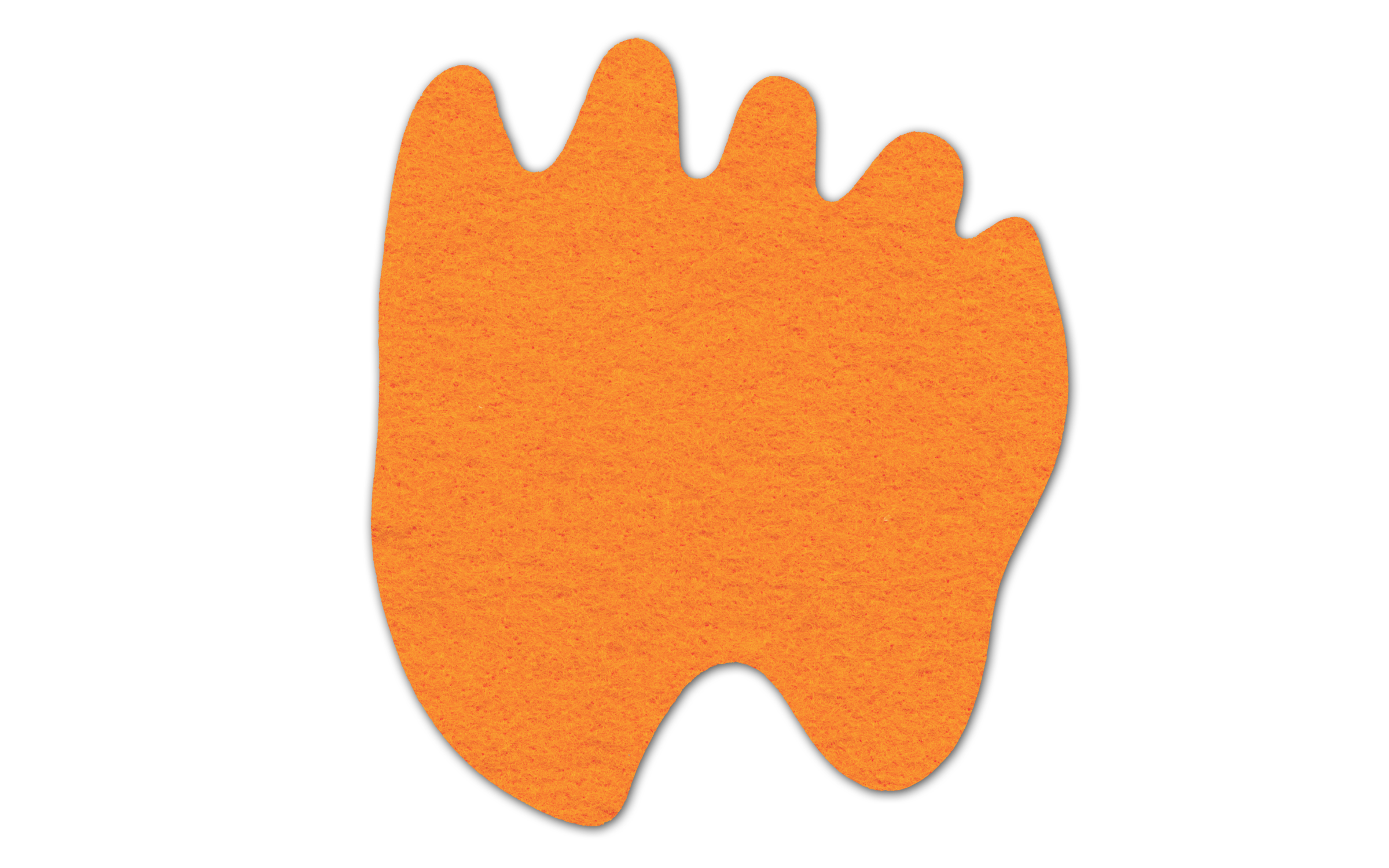 Paw Shammy Coaster 1