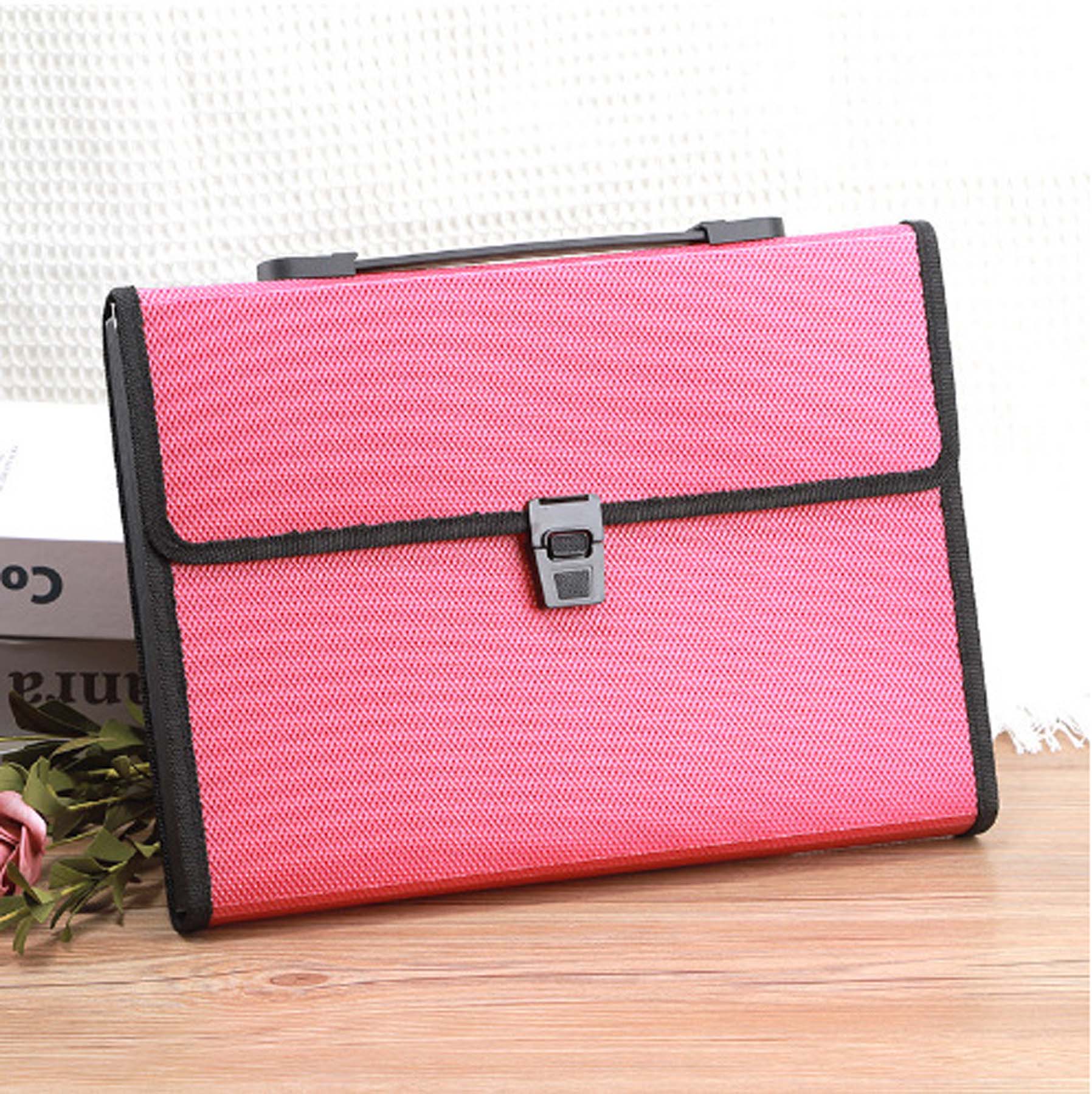 Expandable A4 Document Organizer with 13 Pockets 3