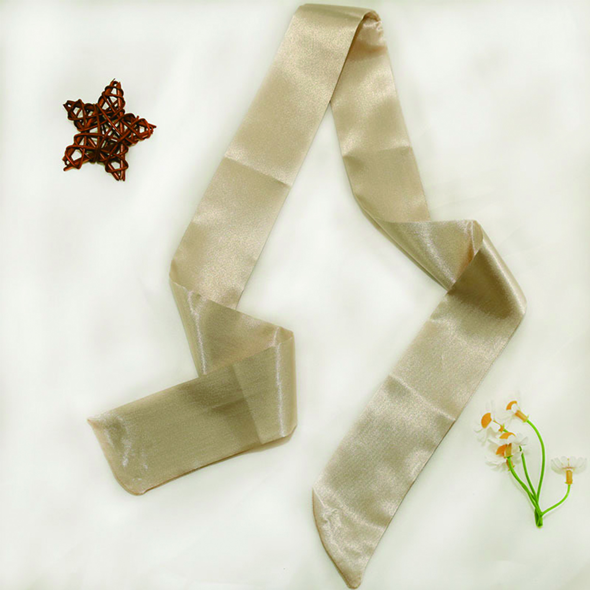 Full Color Long Silk Imitation Ribbon Scarf 2