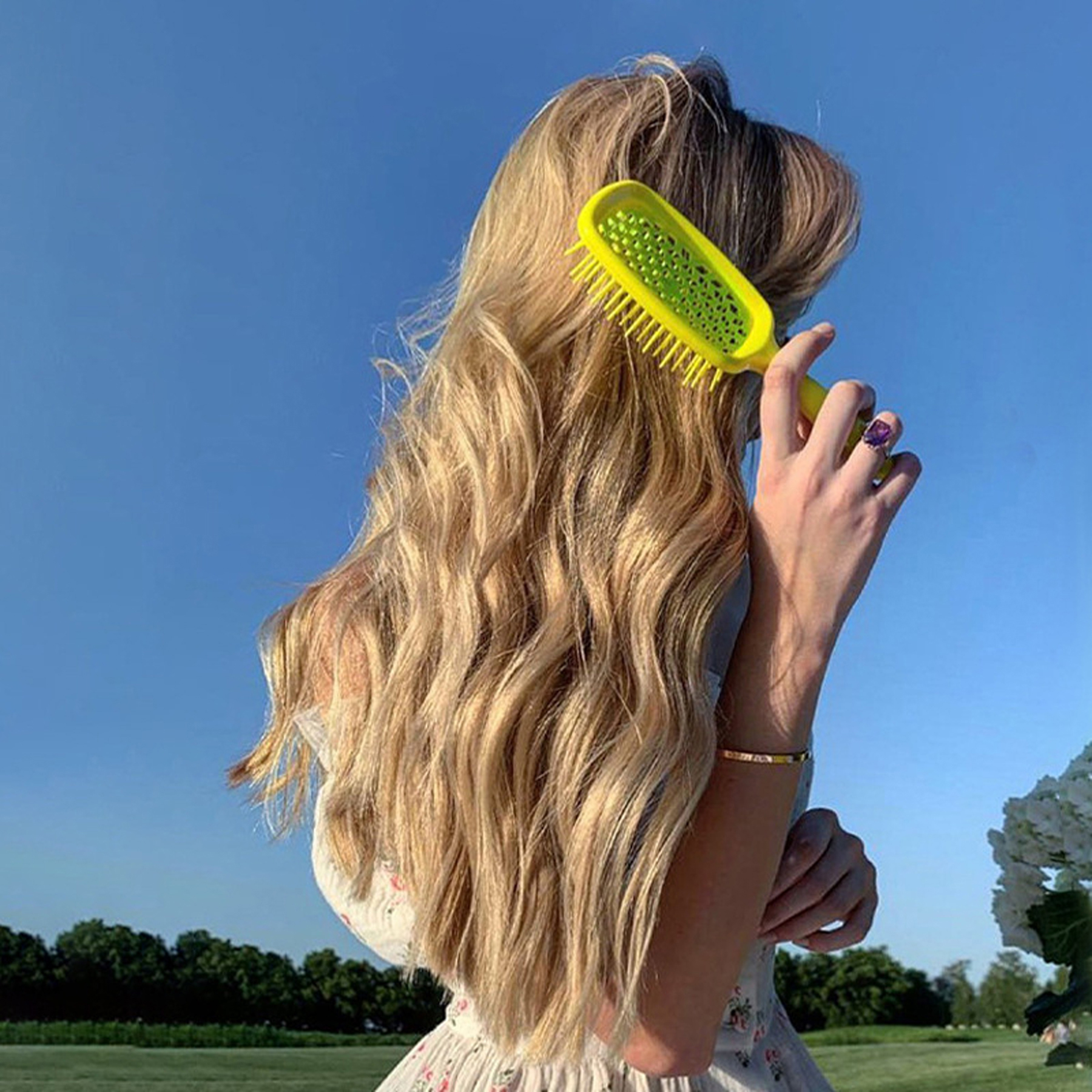 Wet and Dry Detangling Hair Brush