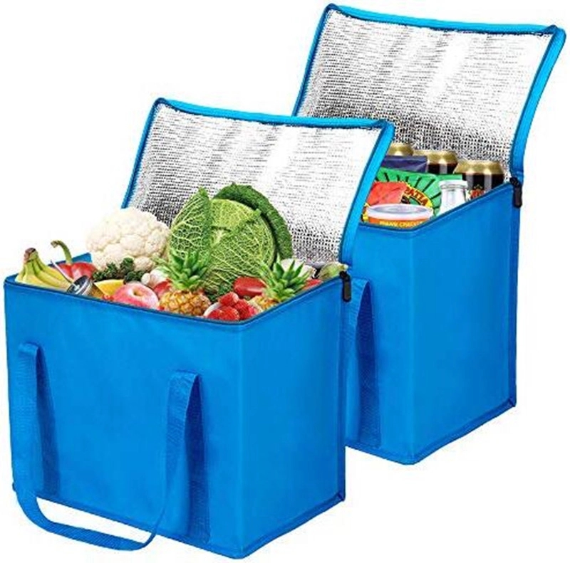 Insulated Food Delivery Bag 2