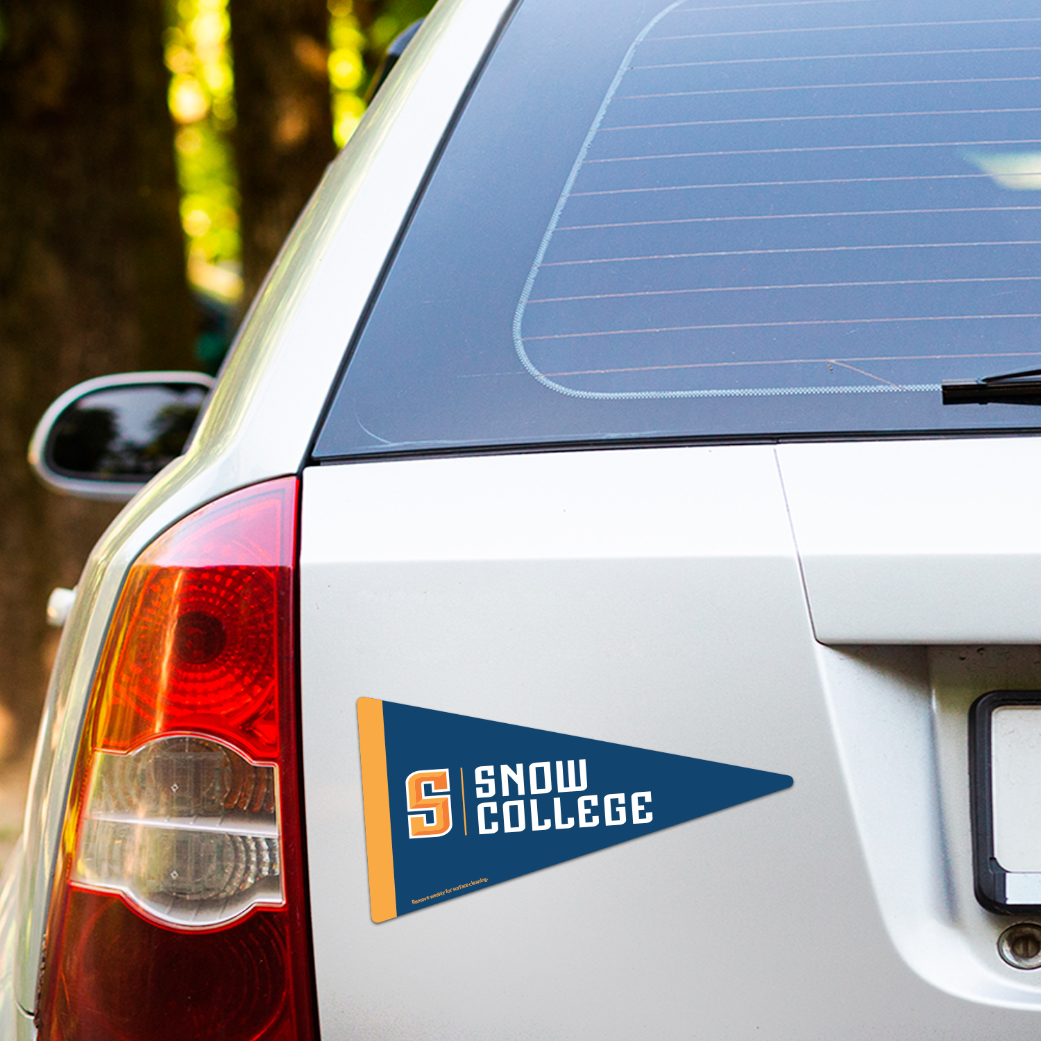 Pennant Car Sign Magnet 7.125 x 3.75 3