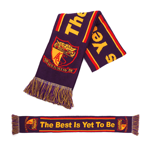 Knitted Stadium Sports Scarf With Fringe
