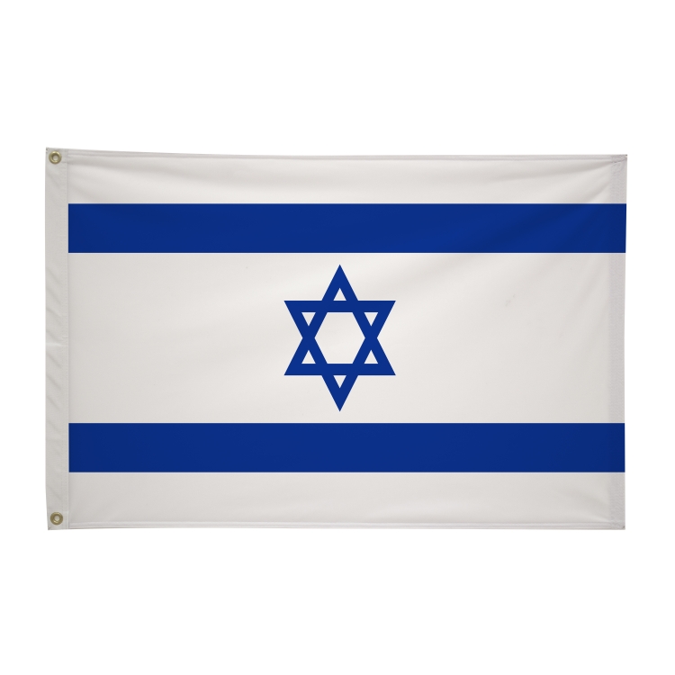 2' x 3'International Flag 199