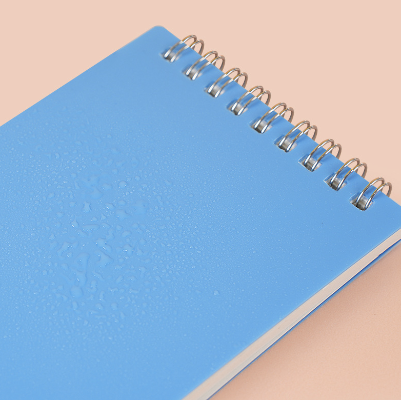 Little Spiral Notebook 7