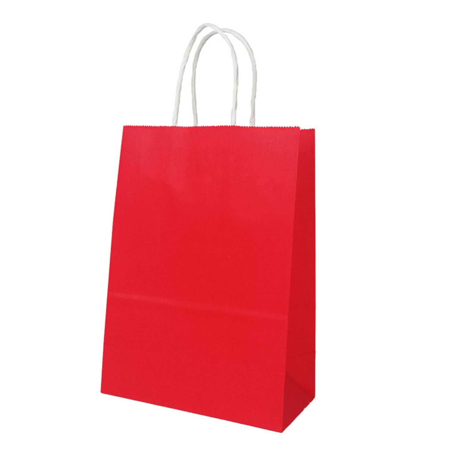 Customized Kraft Paper Gift Bag 6