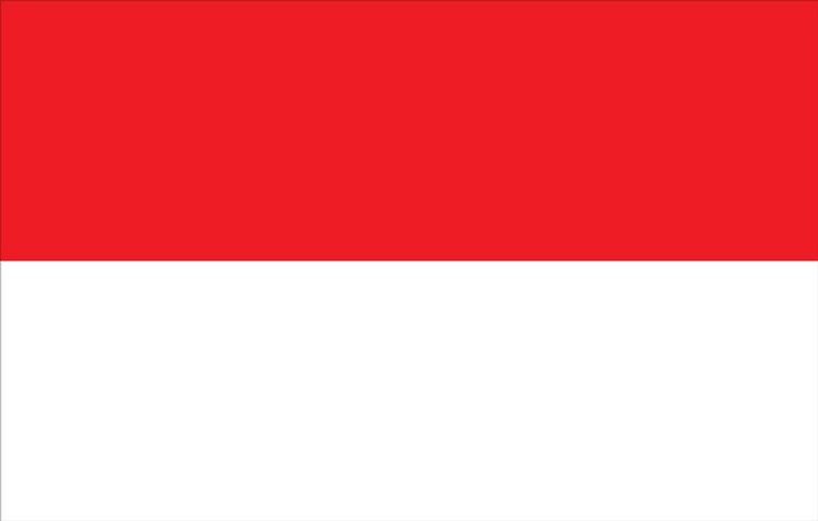 Indonesia Flag - 2' x 3' - Nylon 2