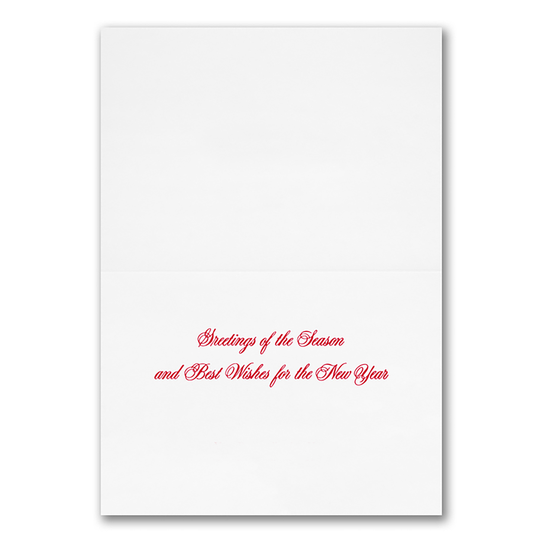 Snowy Greeting Economy Holiday Card 4