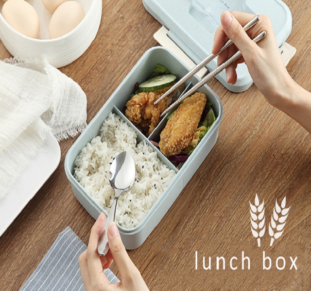 Biodegradable Wheat Bento Lunch Box with Spoon 8