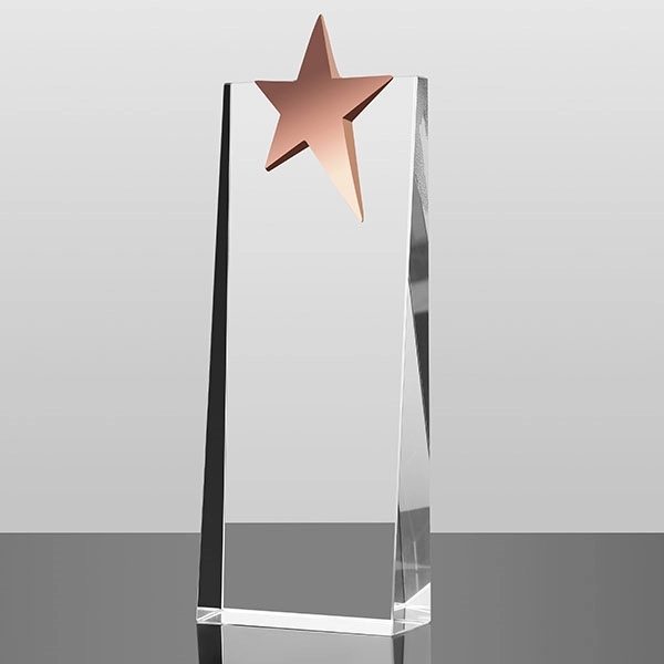 Crystal Plaque Trophy With Metal Star 4