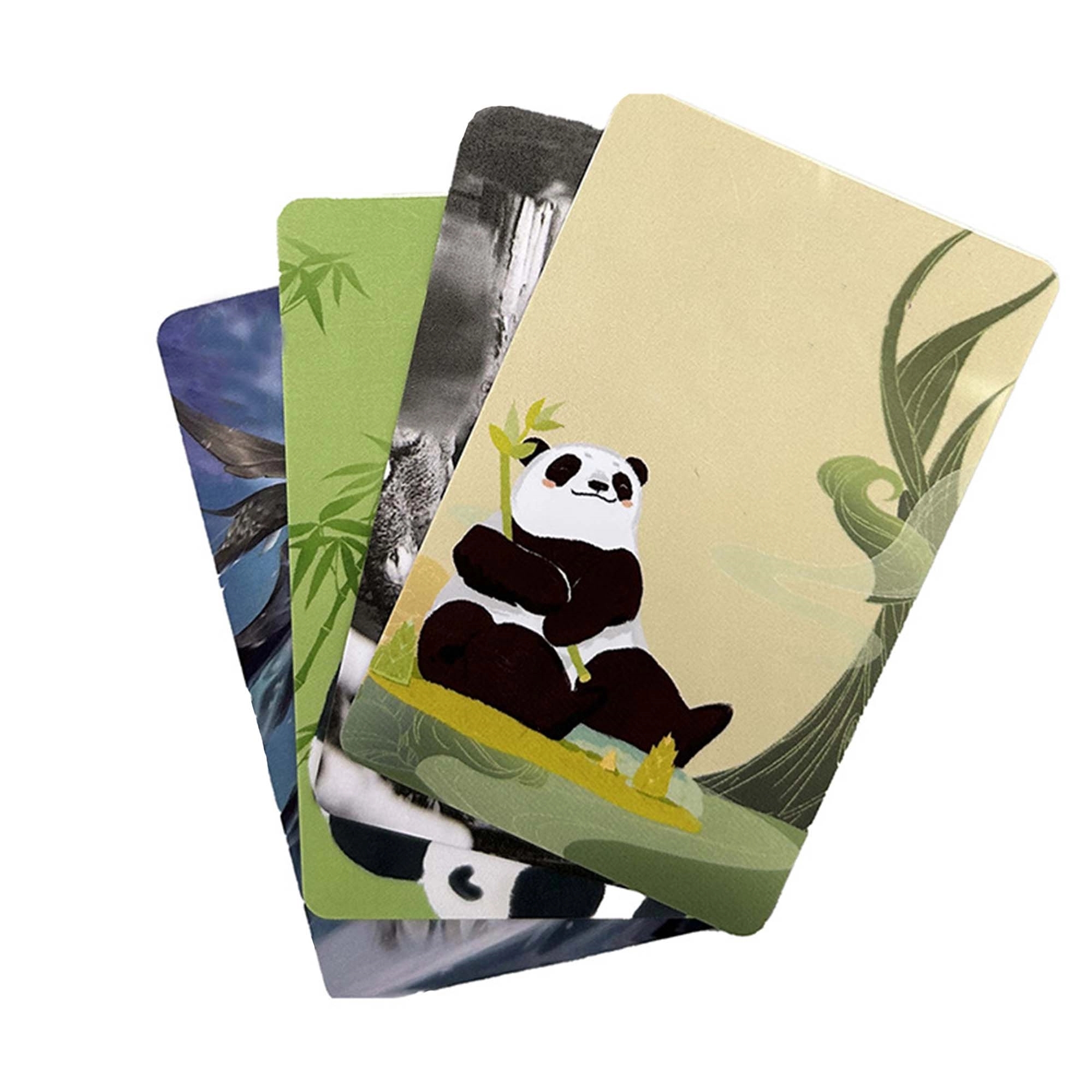 PVC Plastic ID Card 4