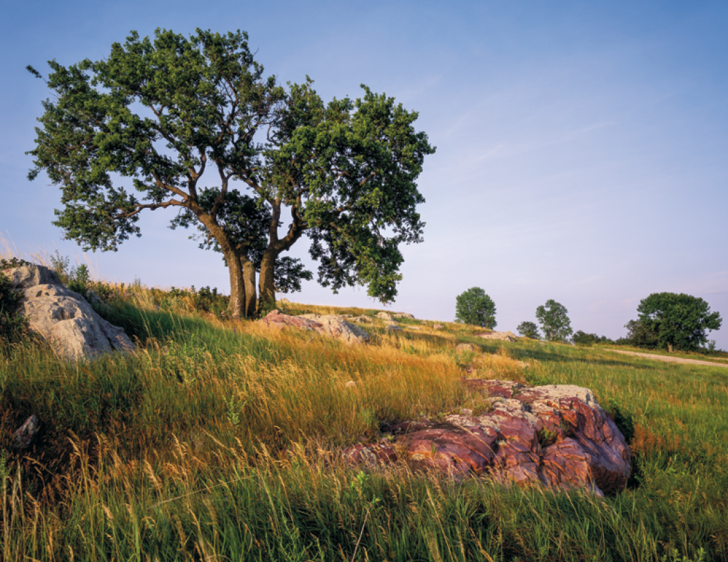 Triumph® Calendars Minnesota Calendar 5