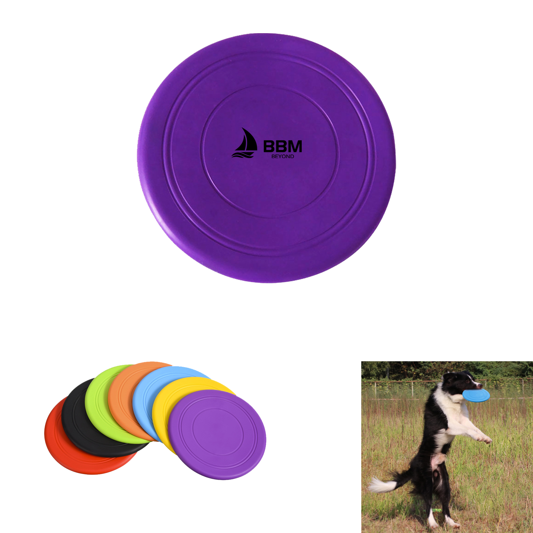 Pet Training Flying Disc 1