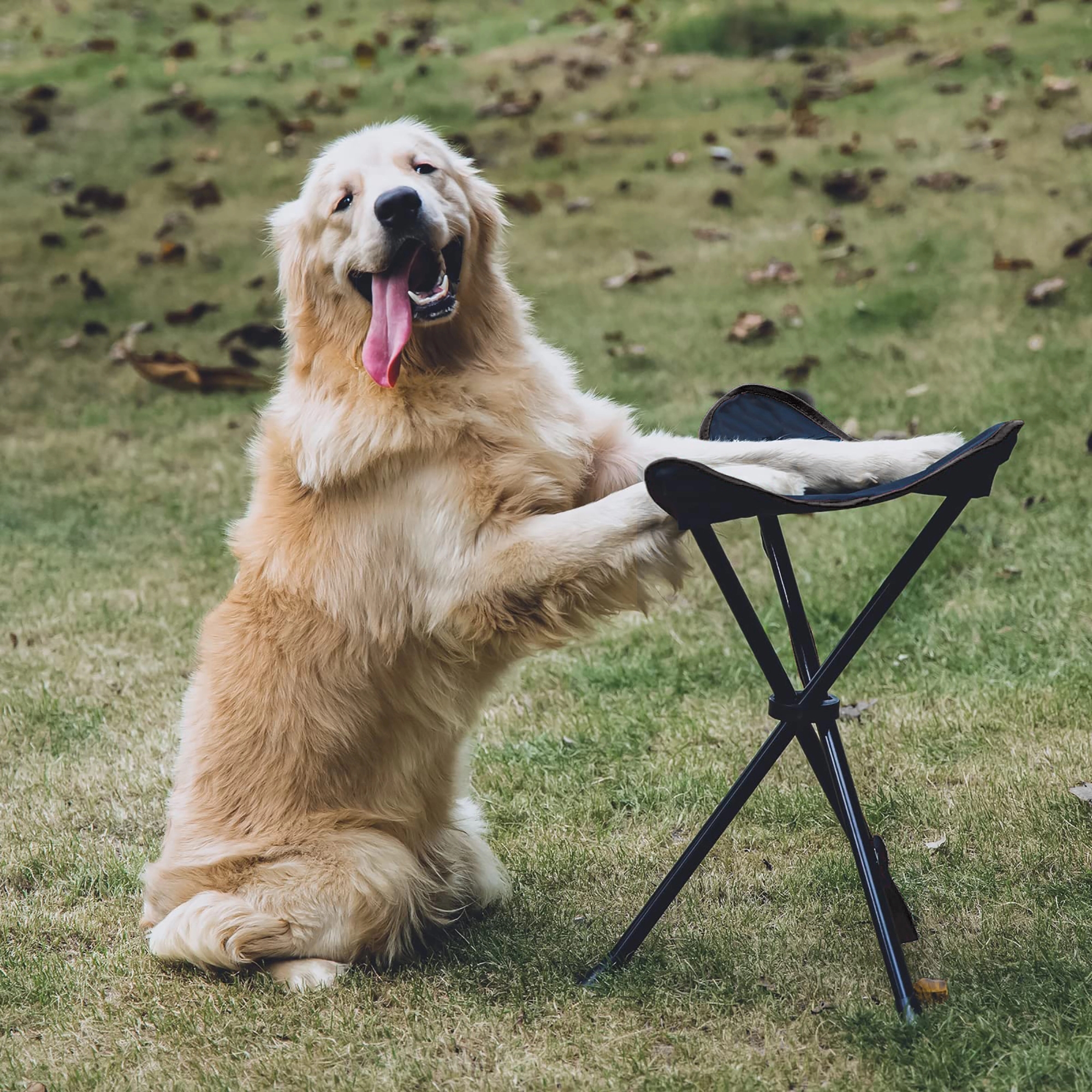 Portable Folding Tripod Stool 4