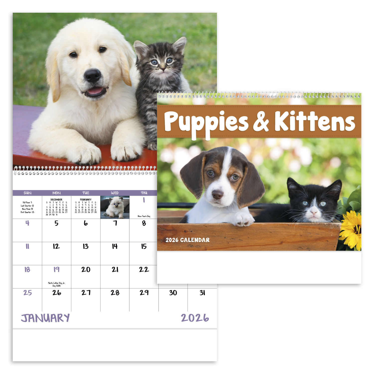 Good Value™ Puppies & Kittens - Spiral Calendar 36