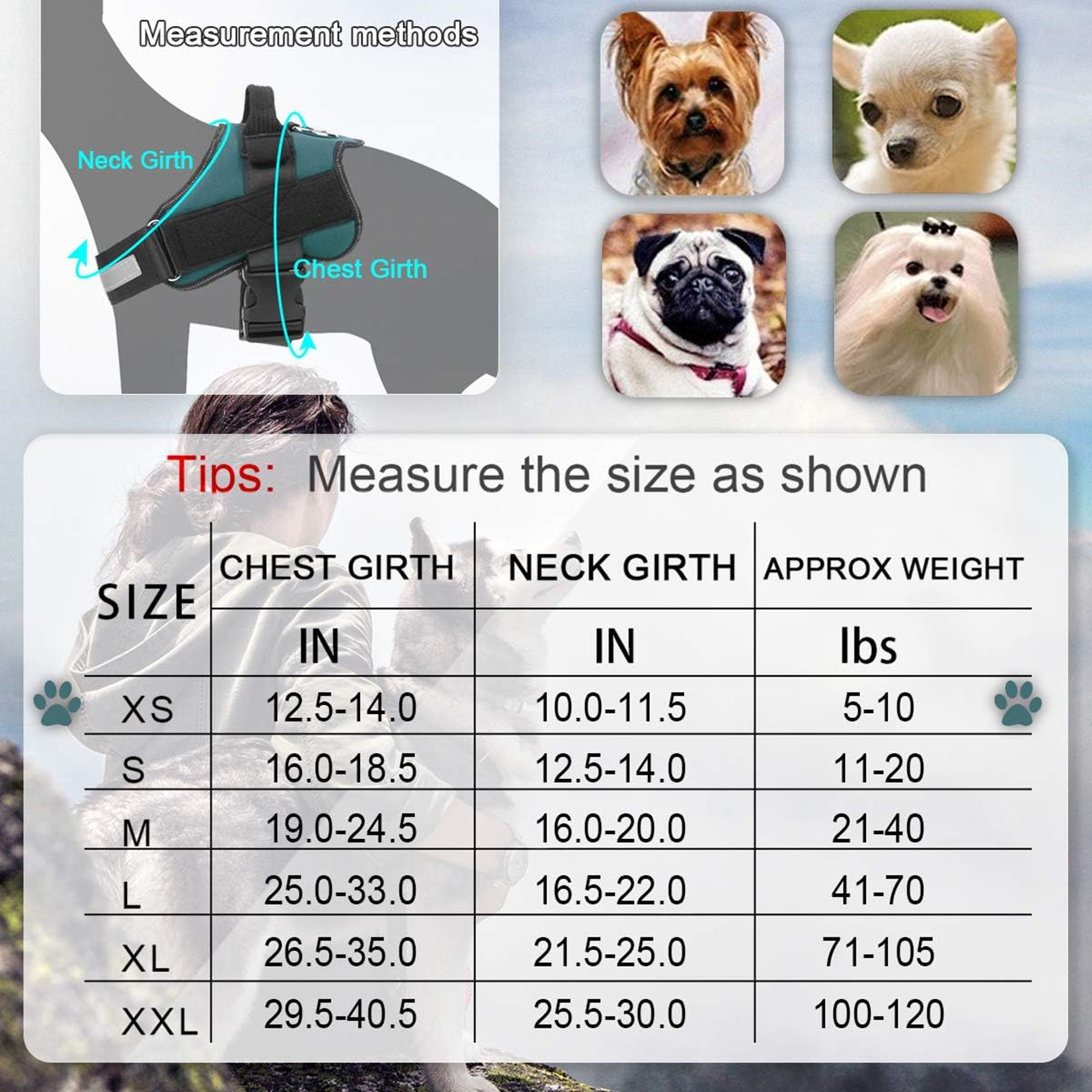Pet Harness With Handle For Outdoor Walking 4
