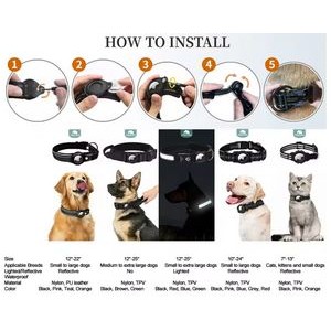 Pet Collar 2