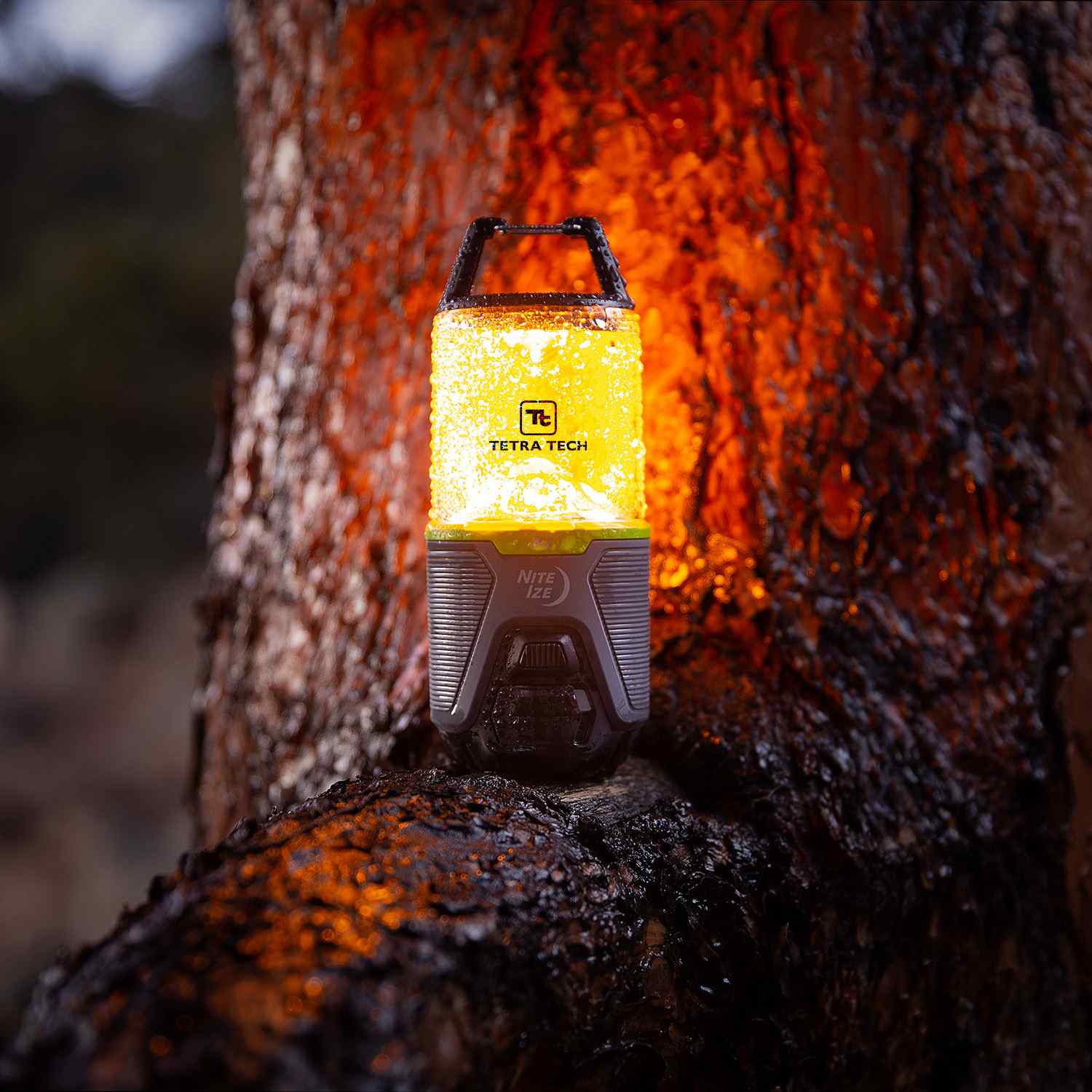 Nite Ize® RADIANT® RL2™ RECHARGEABLE LANTERN 12