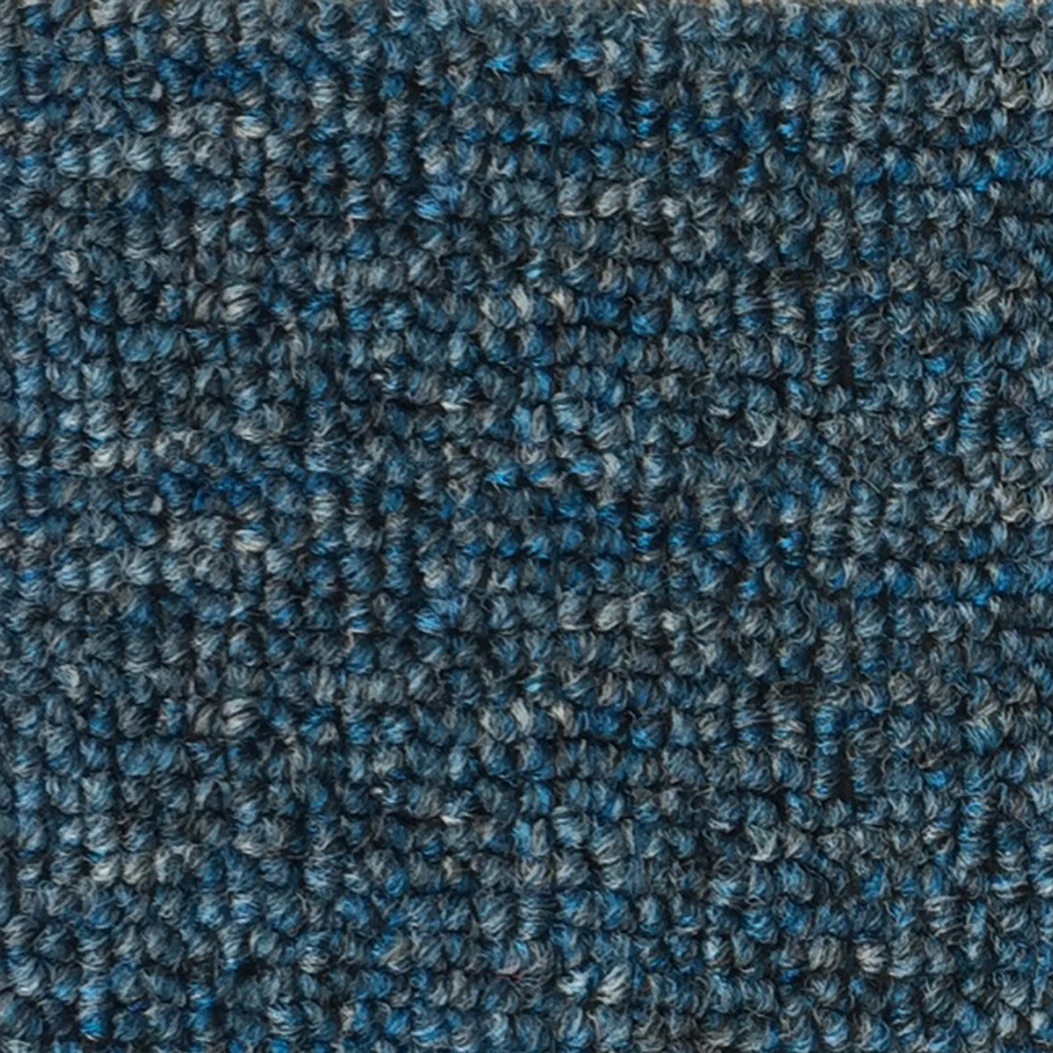Beach Roll Out Access Mat 7