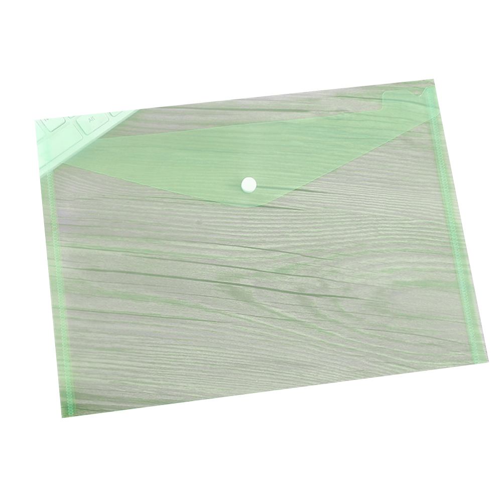 Transparent Snap Document Bag 4