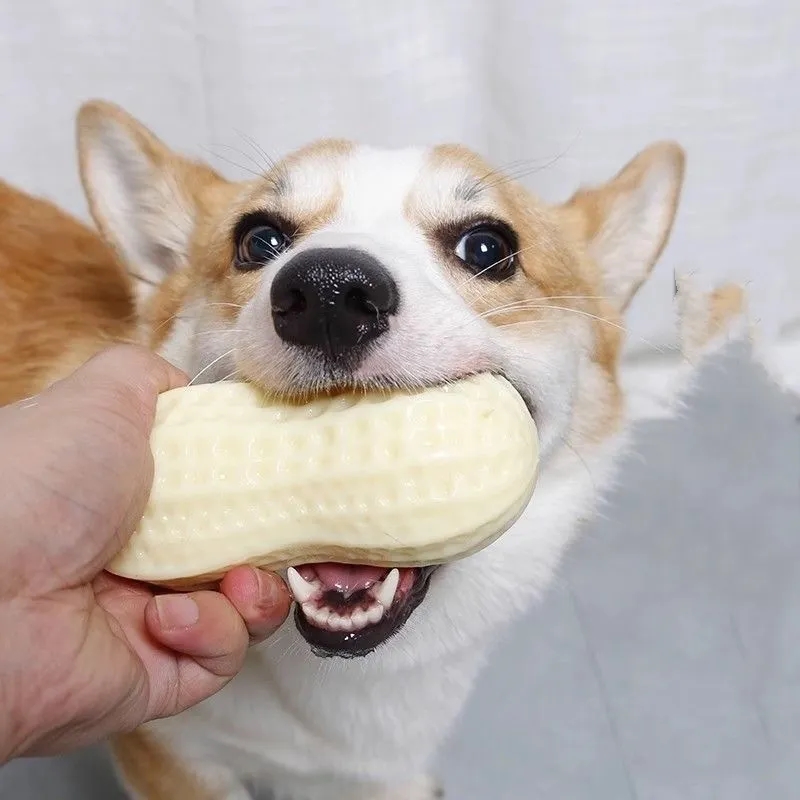 Dog Peanut Molar Stick Toy 11