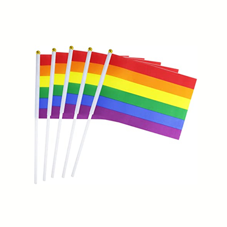 LGBT Rainbow Pride Flag 6