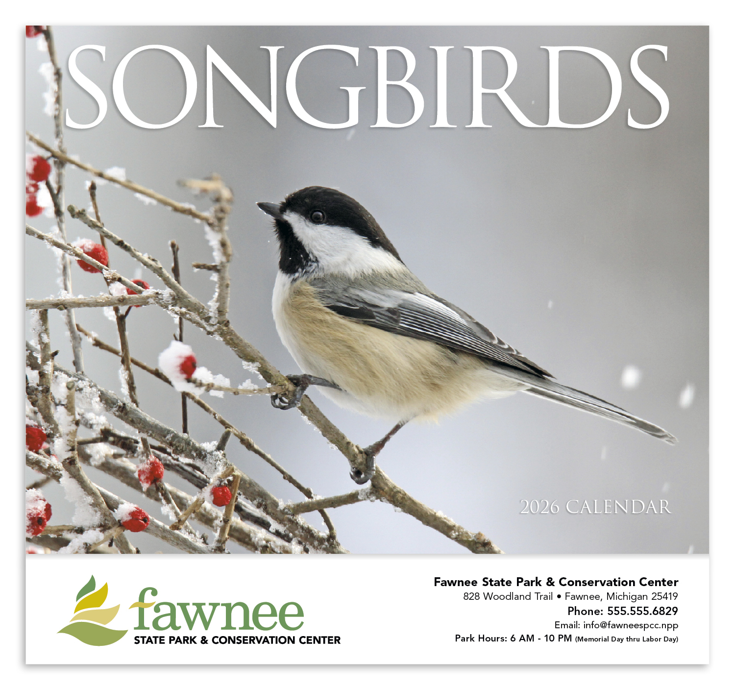 HotLine® Products Songbirds Appointment Calendar - Stapled 26