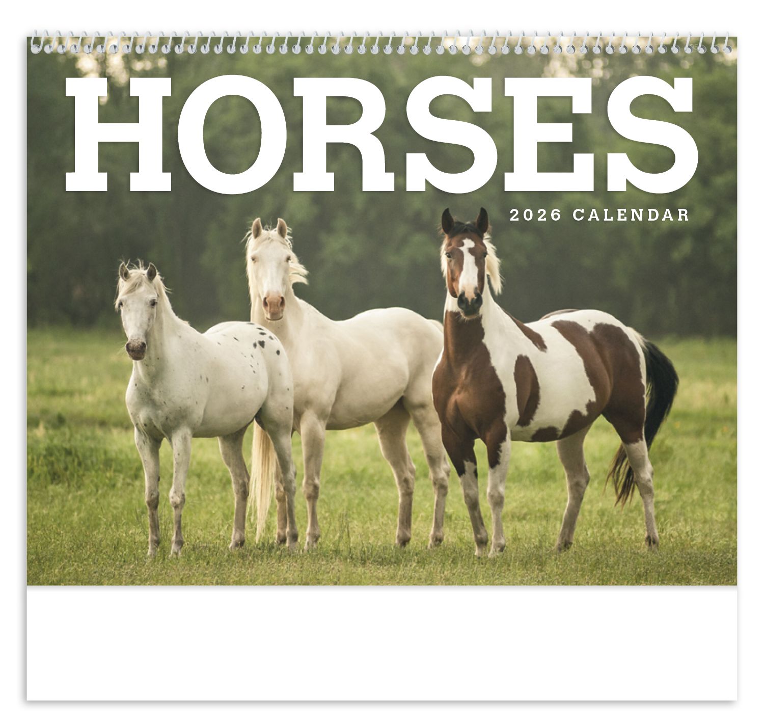 Triumph® Calendars Horses Calendar 21