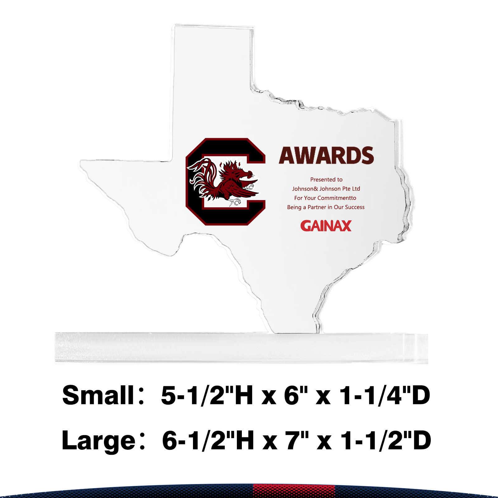 Vinron Texas Crystal Award 4