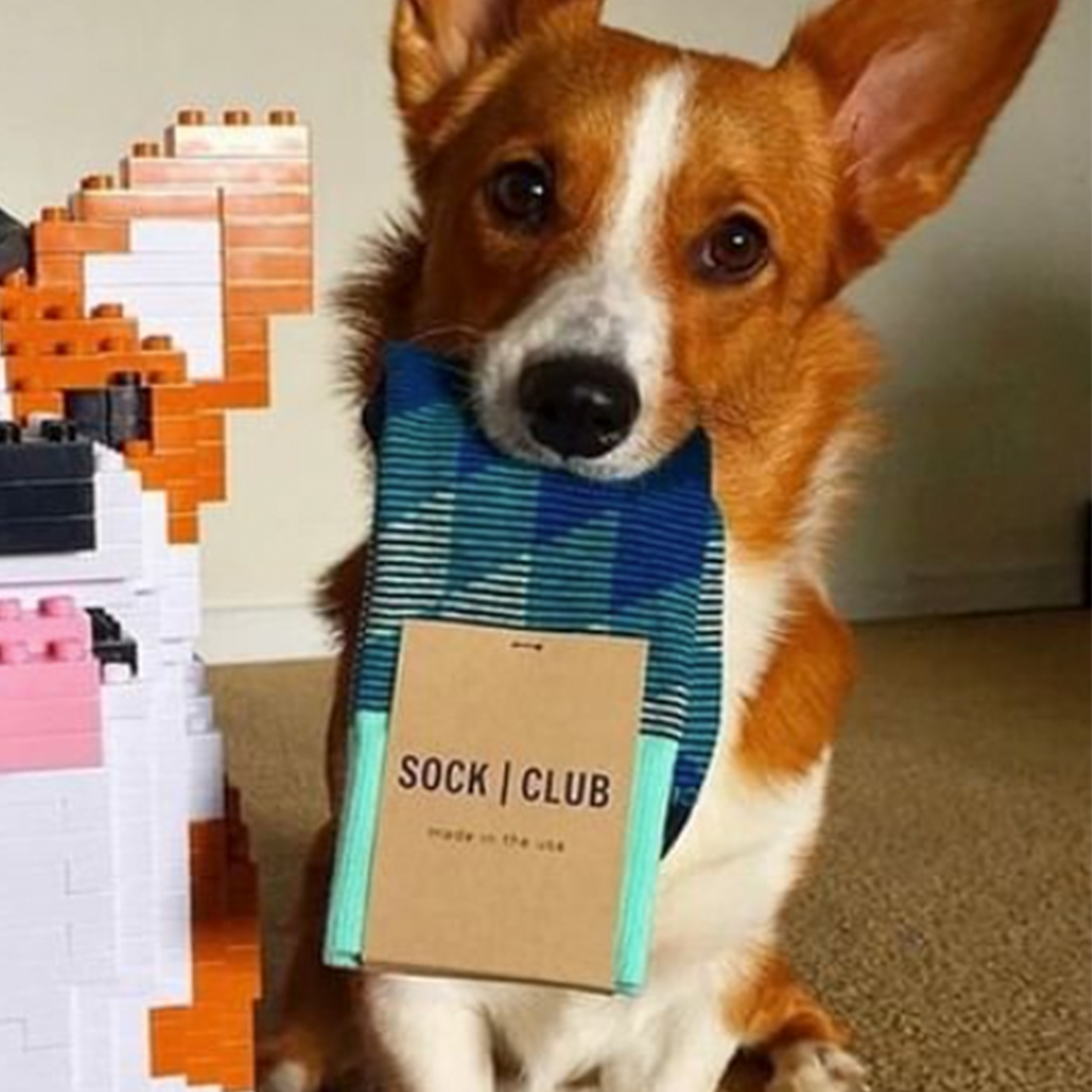 Athletic Dog Walking Socks - Paw-fect for Pet Lovers - American Made 1