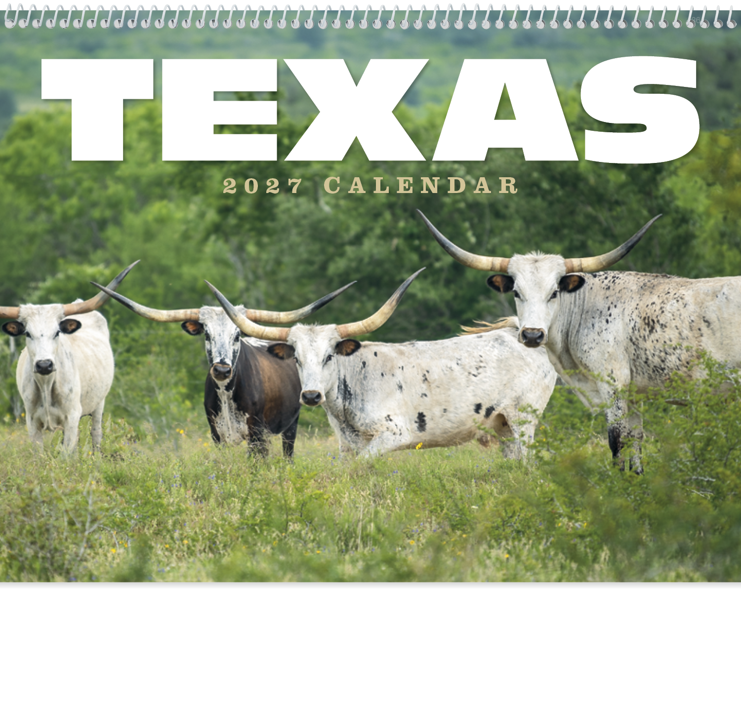 HotLine® Products Texas Appointment Calendar - Spiral 29