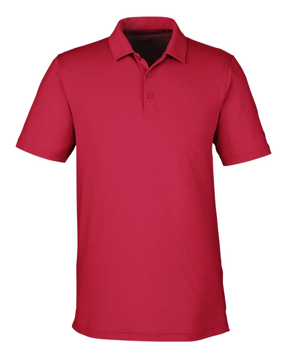 Men's Bandon Polo - PG100 4