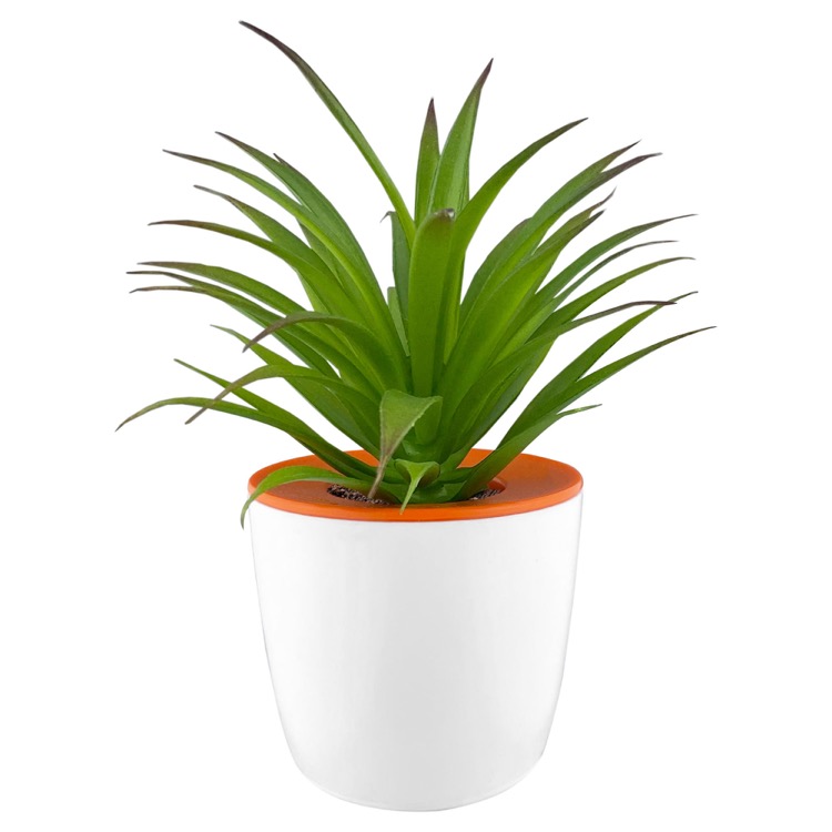 Mini Desk Plant Pot 11
