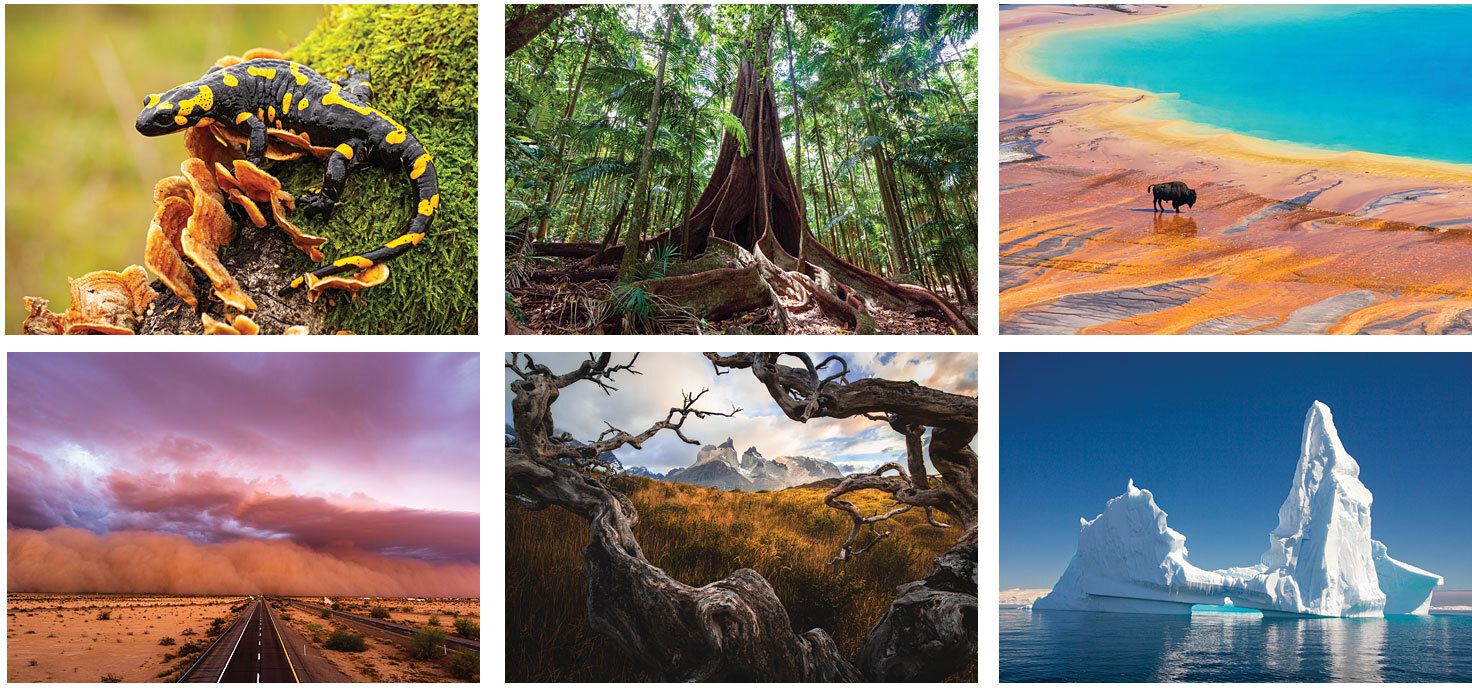AMAZING NATURE SPIRAL WALL CALENDAR 18